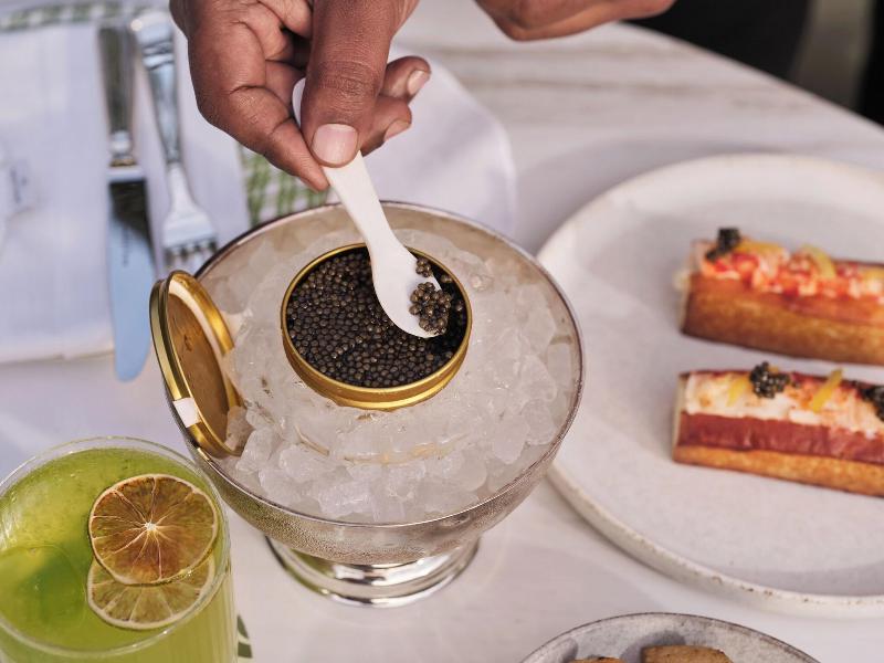 The Lana Dorchester Collection image