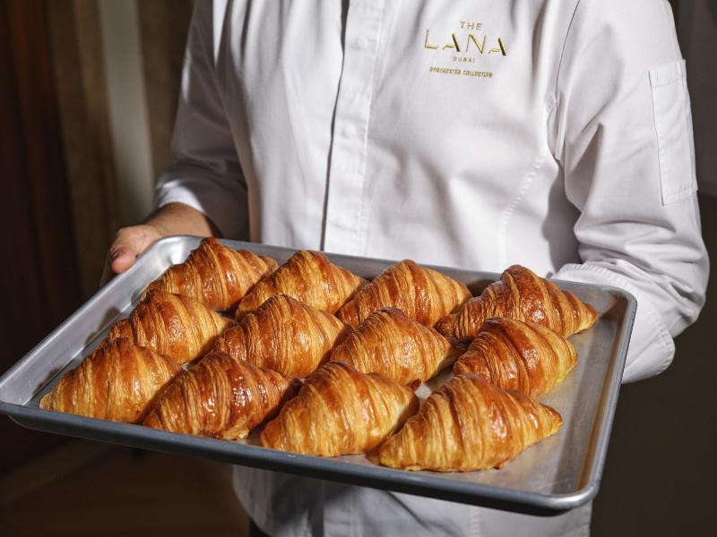 The Lana Dorchester Collection image