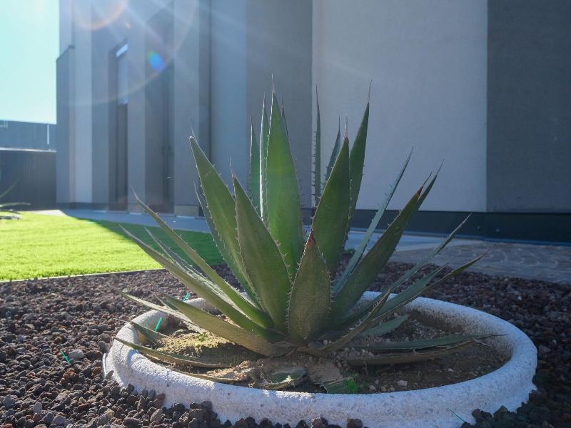 Emerald Green Residence image