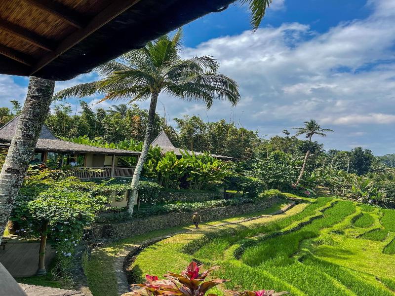 Puri Dajuma Terrace Eco Lodge Spa image