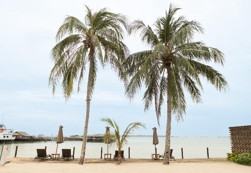Sadi Beach House image