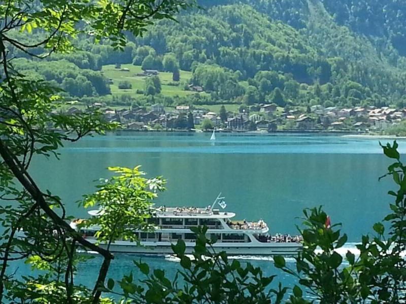 Boutique Hotel Alpina image