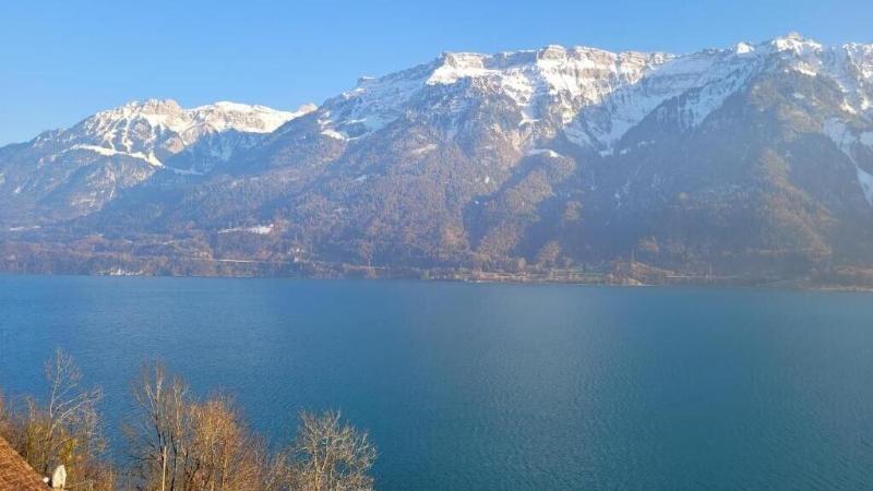 Boutique Hotel Alpina image
