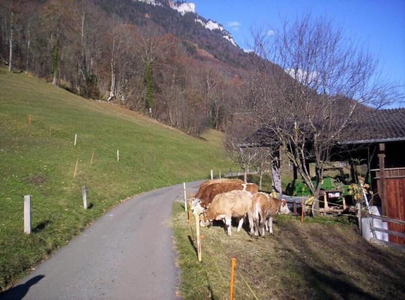 Boutique Hotel Alpina image