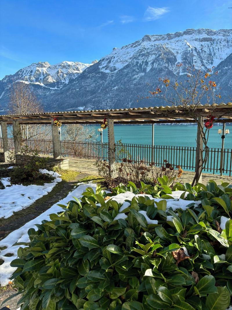 Boutique Hotel Alpina image
