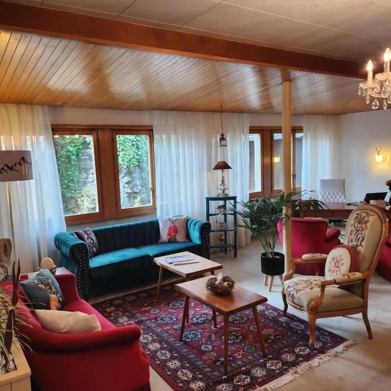 Boutique Hotel Alpina image