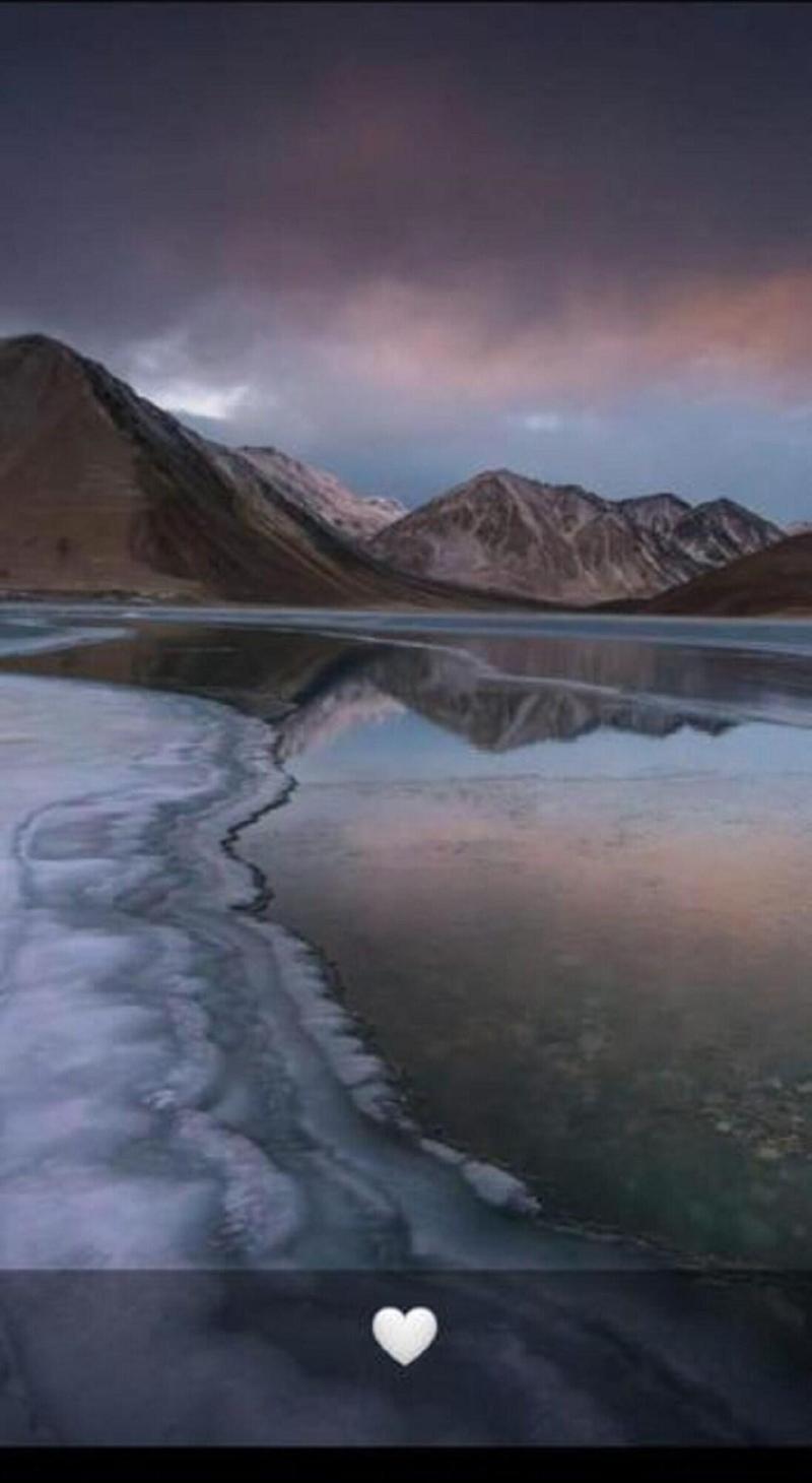 Padma Cottage Pangong — general view