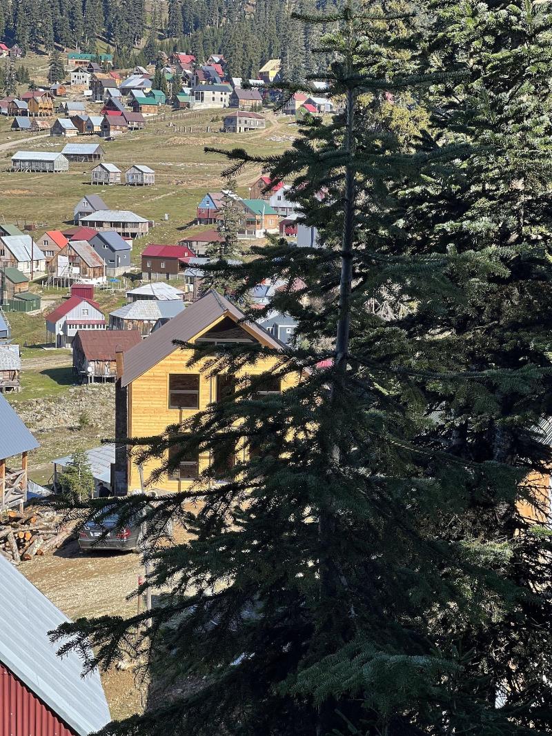 Bakhmaro image