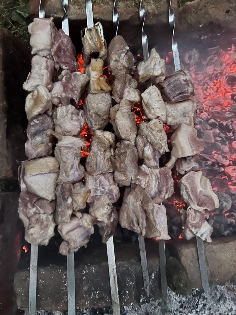 Bakhmaro image