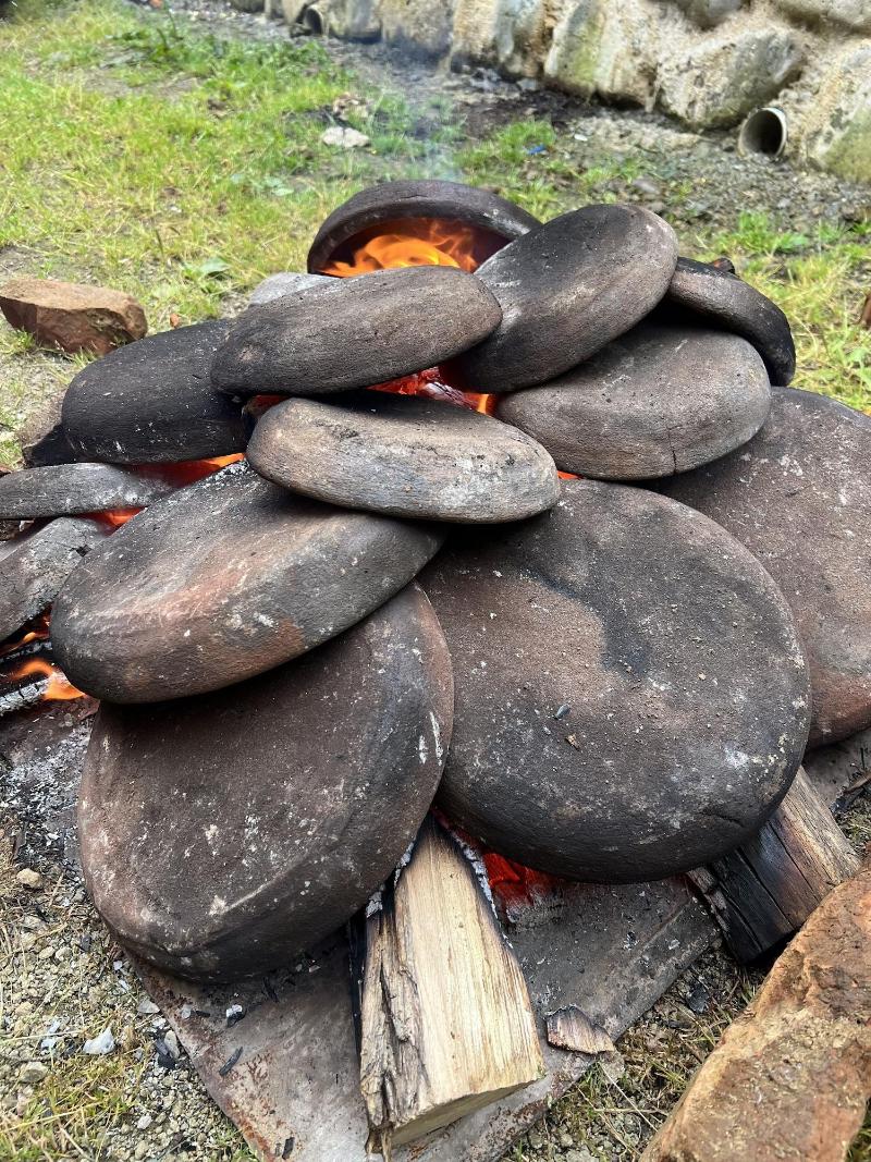 Bakhmaro image