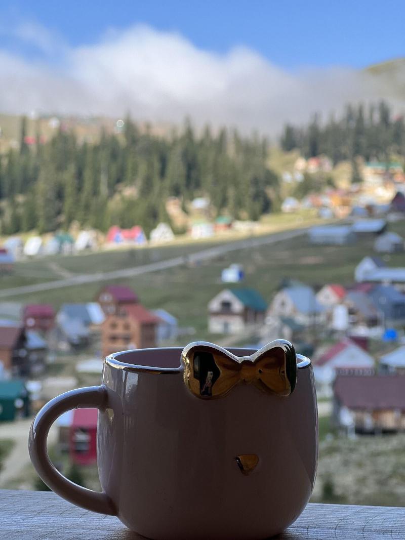 Bakhmaro image