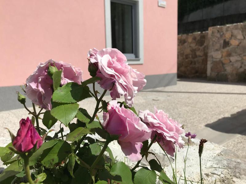 Vila Burbonka image