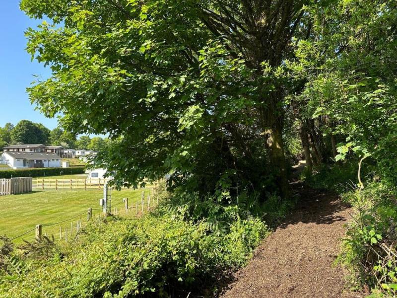 Calloose Holiday Park image