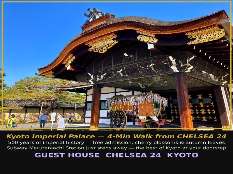 Chelsea24 image
