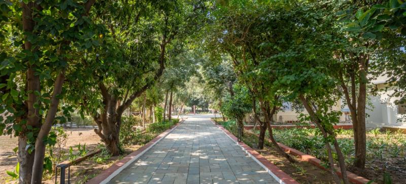 juSTa Alwar Bagh Resort, Sariska image