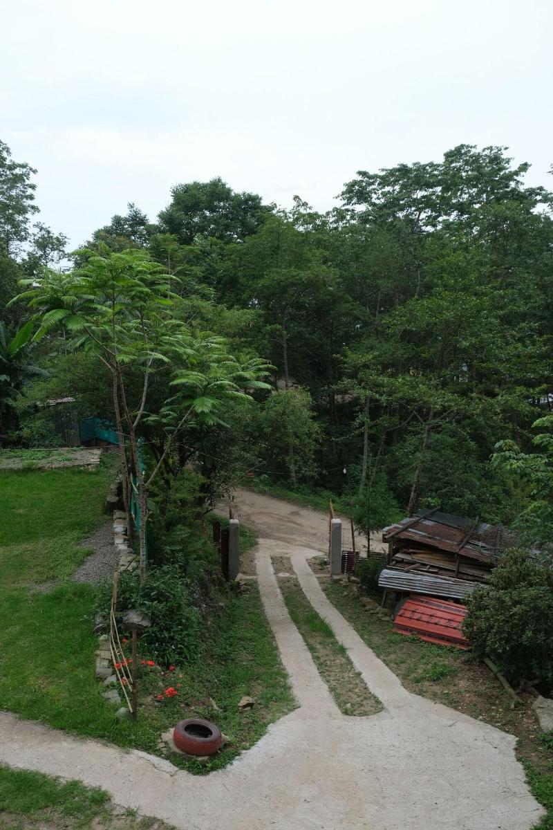 Camp David 3