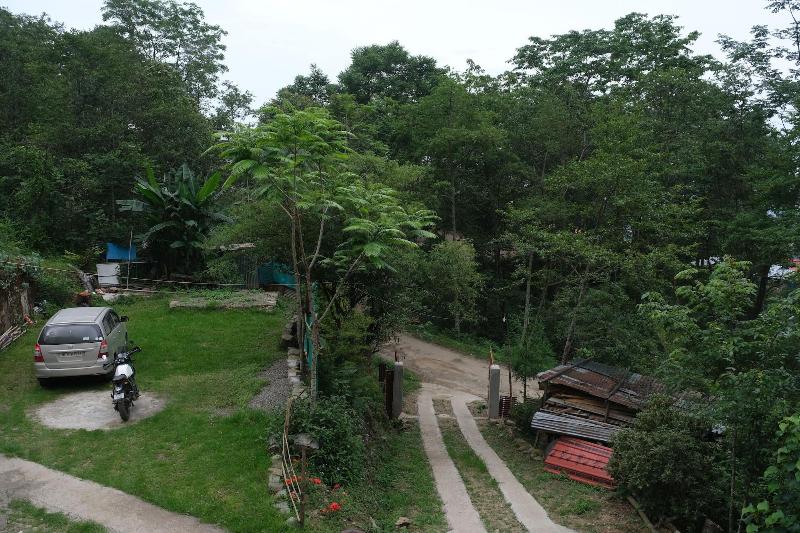 Camp David 5