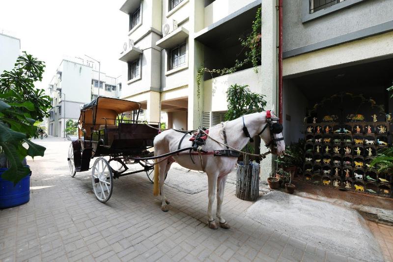 Bliss Serviced Apartments image
