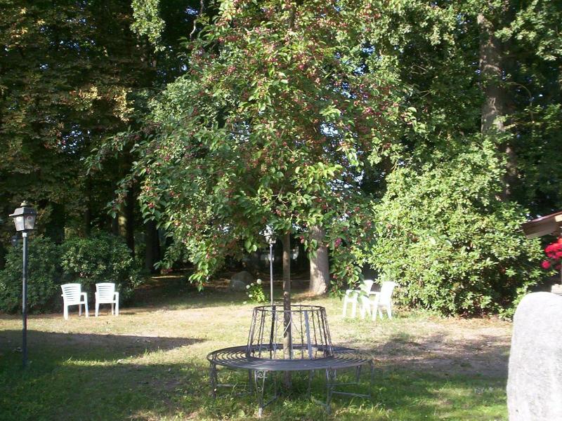 Pension Im Rehwinkel image