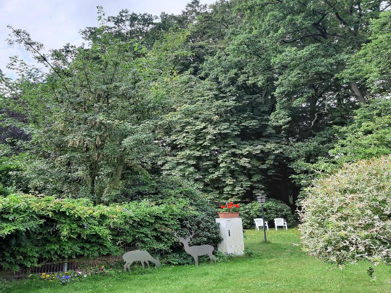 Pension Im Rehwinkel image