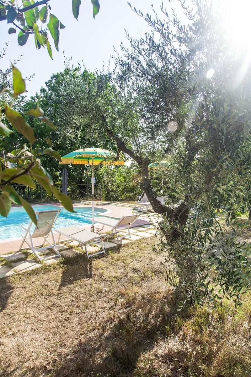 Podere Risoino image