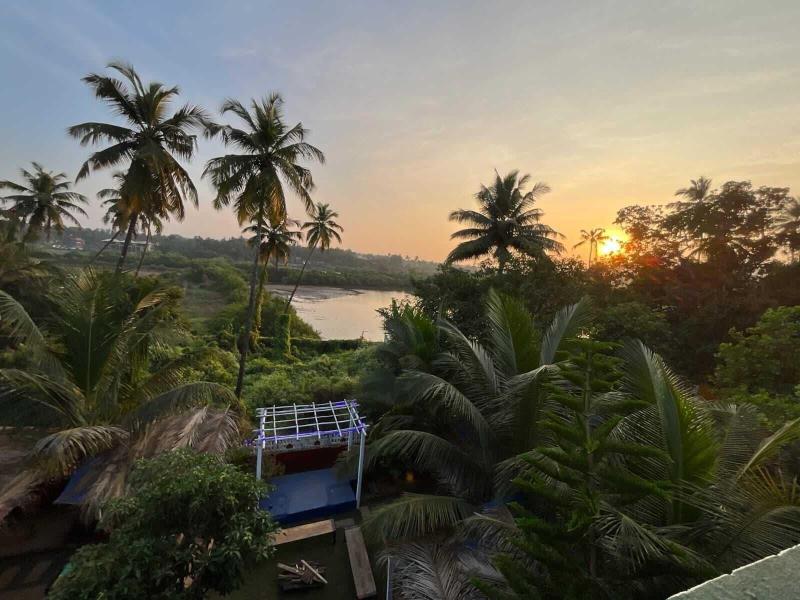 Green Nest Hostel image
