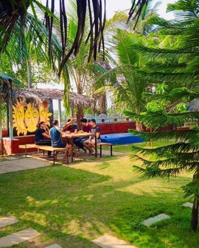 Green Nest Hostel image