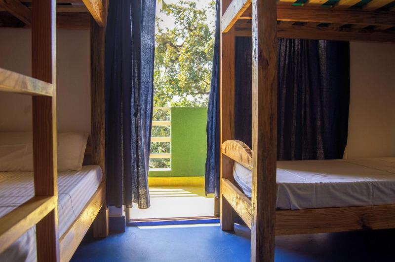 Green Nest Hostel image