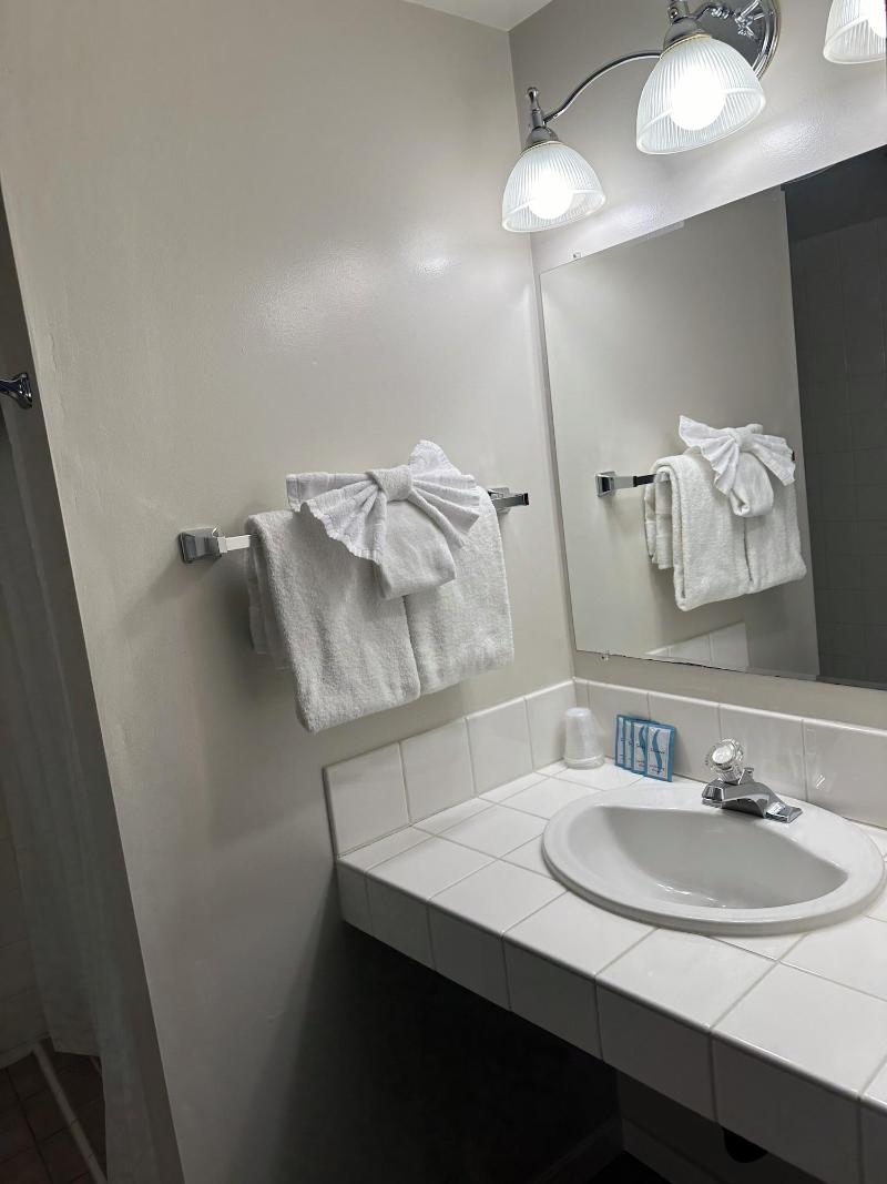 Lee Vining Motel image