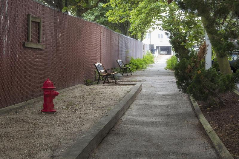 The Barefoot Mailman image