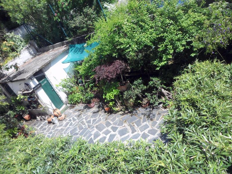 Casa Coimbra Guesthouse Garden image