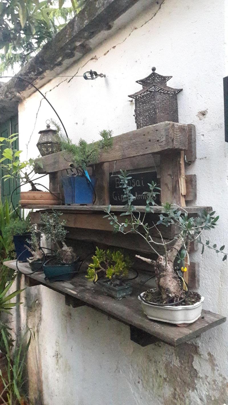 Casa Coimbra Guesthouse Garden image