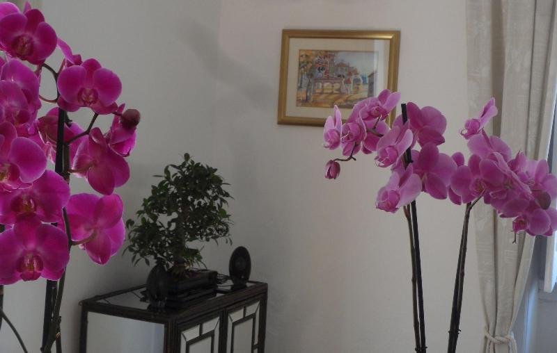 Casa Coimbra Guesthouse Garden image