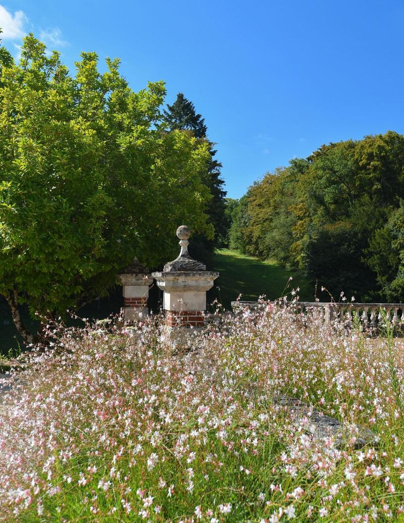Château de la Huberdière image