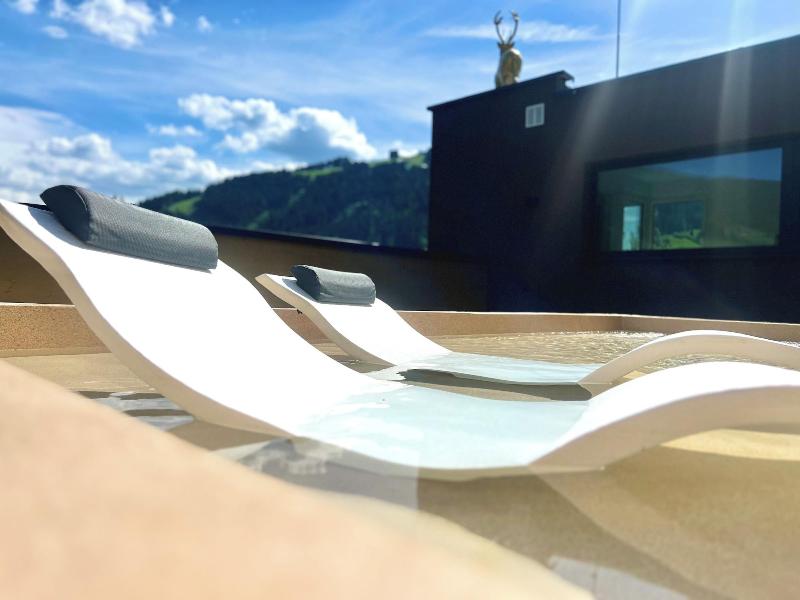 Goldhirsch Superior Aparthotel Wagrain image