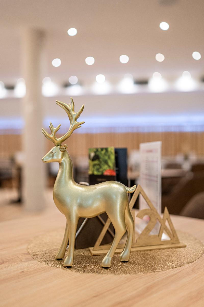 Goldhirsch Superior Aparthotel Wagrain image