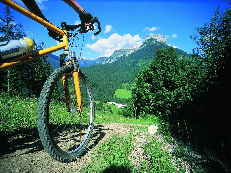 Landhotel Lacknerhof image