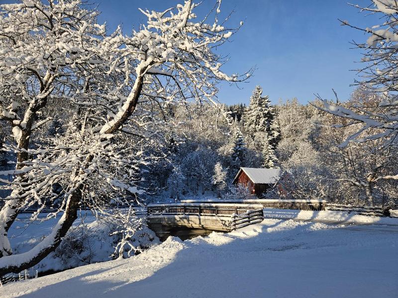 Landhotel Lacknerhof image