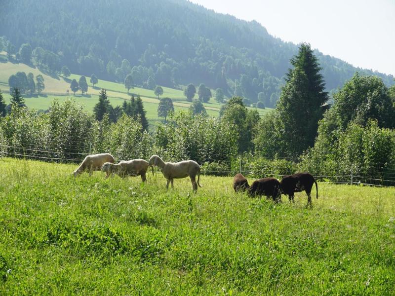 Landhotel Lacknerhof image