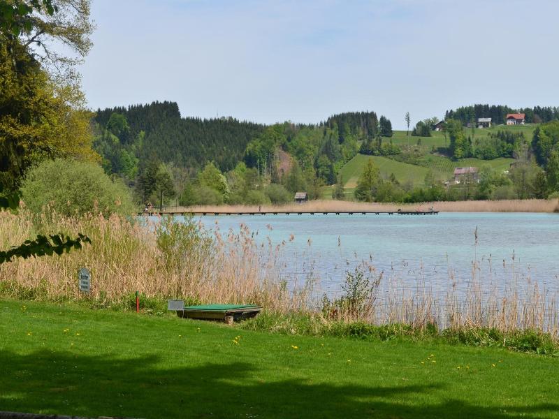 Gasthof Alte Tanne image