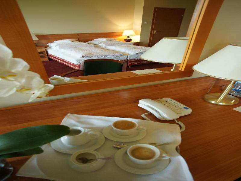Hotel Grodzki image
