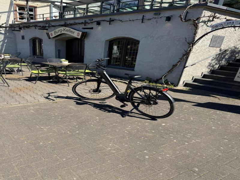 Hotel Haus Burg Metternich image