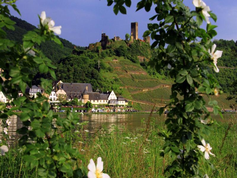 Hotel Haus Burg Metternich image