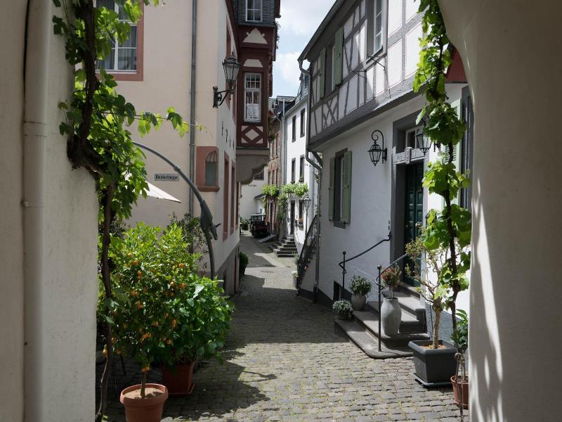 Hotel Haus Burg Metternich image