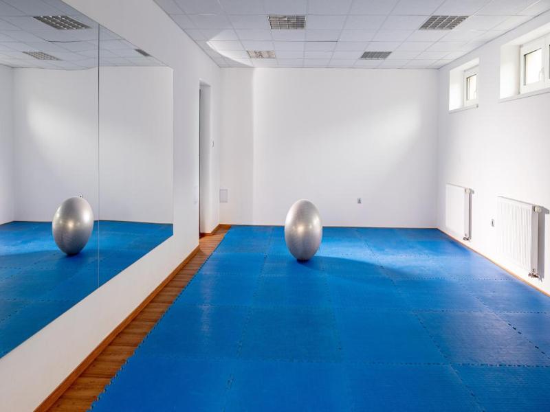 Wellness Penzion Life image