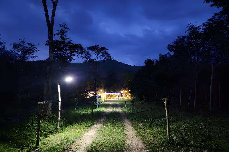 Rat Min House By Zuzu