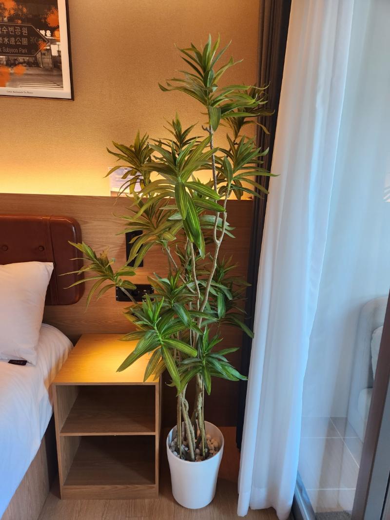 Elbon The Stay X A1with Haeundae image