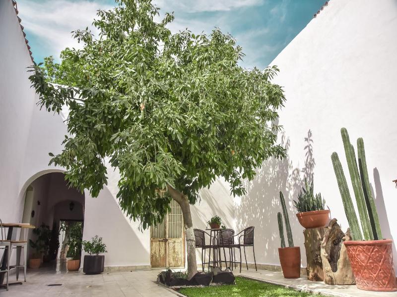Casa Raco - Parras de la Fuente image