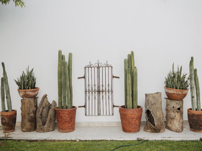 Casa Raco - Parras de la Fuente image