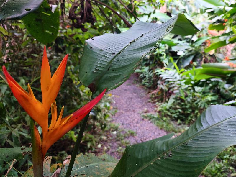 Kakao Lodge & Garden Río Celeste image